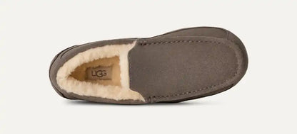 UGG Men's Ascot in Grey