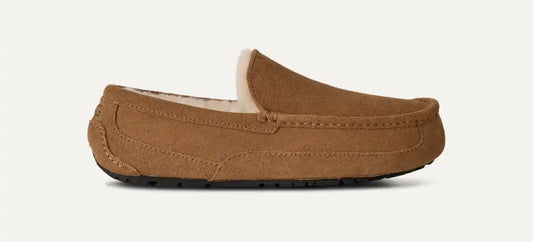 UGG Men's Ascot in Chestnut