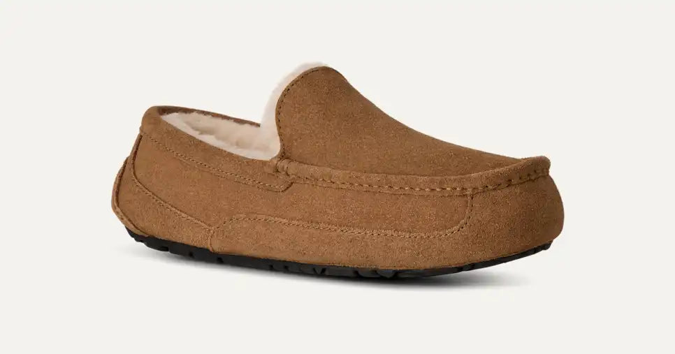 UGG Men's Ascot in Chestnut