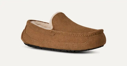 UGG Men's Ascot in Chestnut