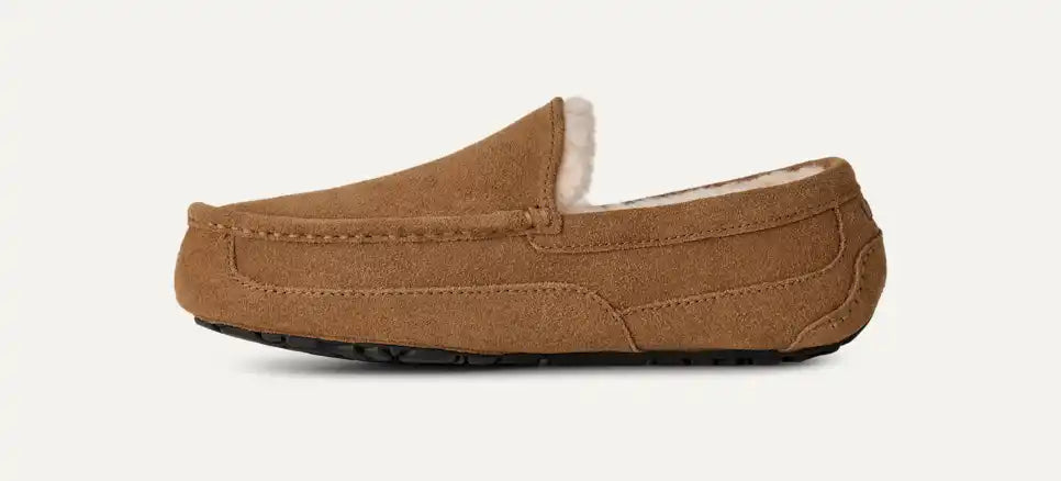 UGG Men's Ascot in Chestnut