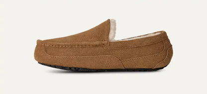 UGG Men's Ascot in Chestnut