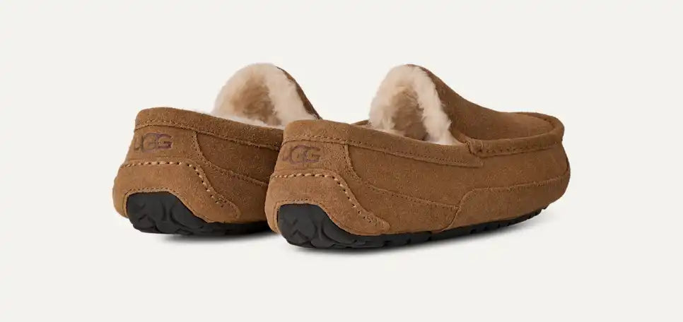 UGG Men's Ascot in Chestnut