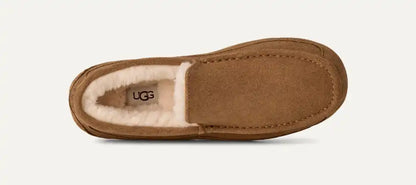 UGG Men's Ascot in Chestnut